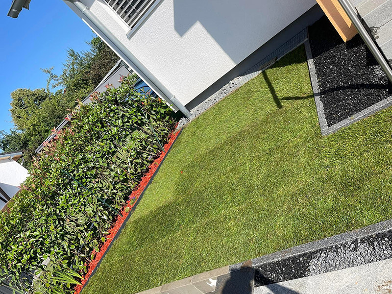 Saftiger Rasen entlang der Hecke